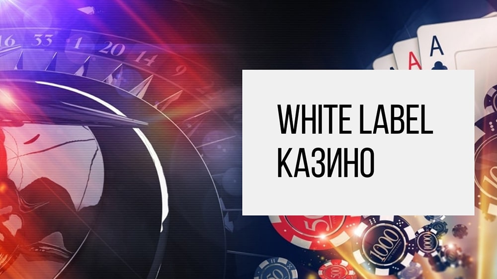 Партнерская программа казино White Label